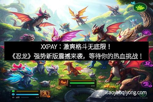 XXPAY：激爽格斗无底限！《忍龙》强势新版震撼来袭，等待你的热血挑战！